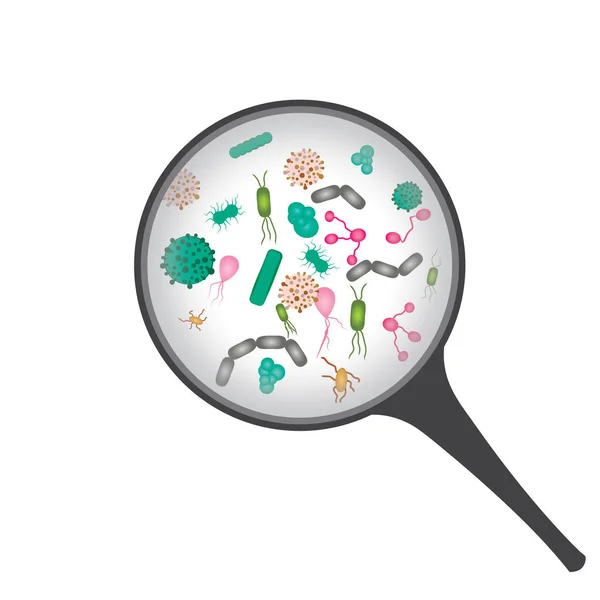 Микробы Лупой — стоковый вектор