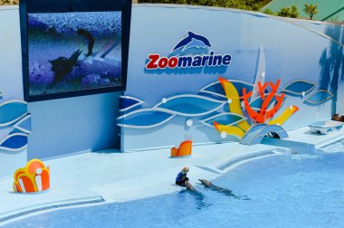 Portekiz Avrupa - 4 Haziran 2016: Güzel yunus gösterisi, Dolphinarium Zoomarine Tema Parkı