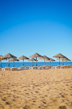Okyanus plaj Algarve Portekiz, güneşli açık havada arka plan üzerinde hasır şemsiyeler