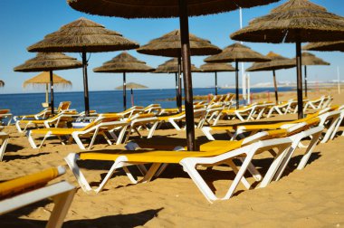 Okyanus plaj Algarve Portekiz, güneşli kıyı sabah açık havada arka plan üzerinde hasır şemsiyeler