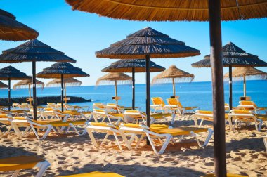 Okyanus plaj Algarve Portekiz, güneşli açık havada arka plan üzerinde hasır şemsiyeler