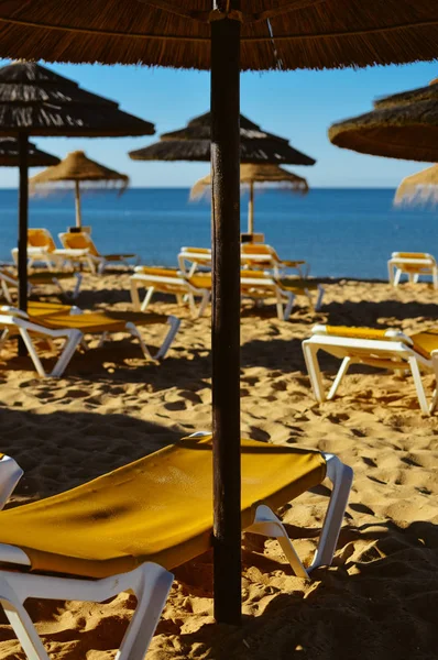 Sombrillas Paja Playa Del Océano Algarve Portugal Costa Soleada Mañana — Foto de Stock