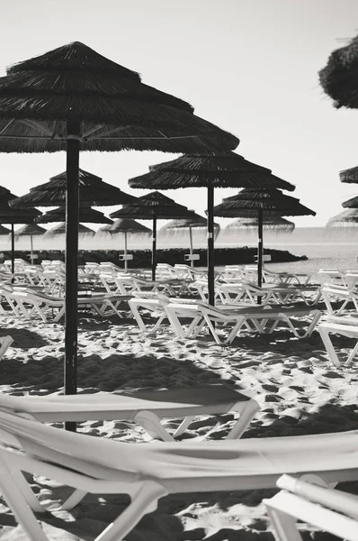 在葡萄牙阿尔加维 阳光明媚的海滩上的稻草伞岸边早上户外背景 — 图库照片