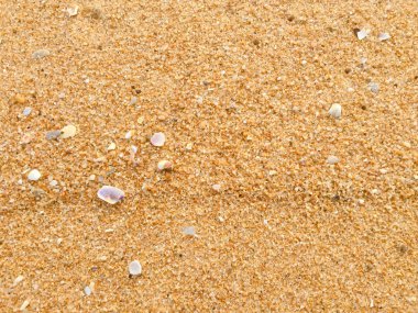 Doğal kumlu yüzey okyanus deniz plaj zemin üstten görünüm arka plan