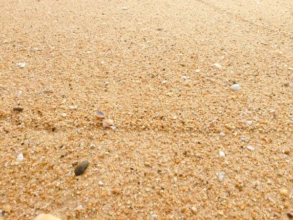 Αφηρημένη Φυσική Αμμώδη Παραλία Closeup Seacoast Φόντο Χώρο Επιφάνειας Για — Φωτογραφία Αρχείου