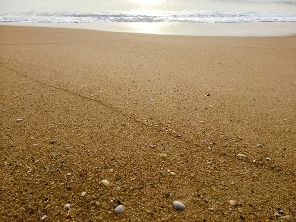 Superfície Arenosa Natural Oceano Mar Praia Pano Fundo Vista Superior — Fotografia de Stock