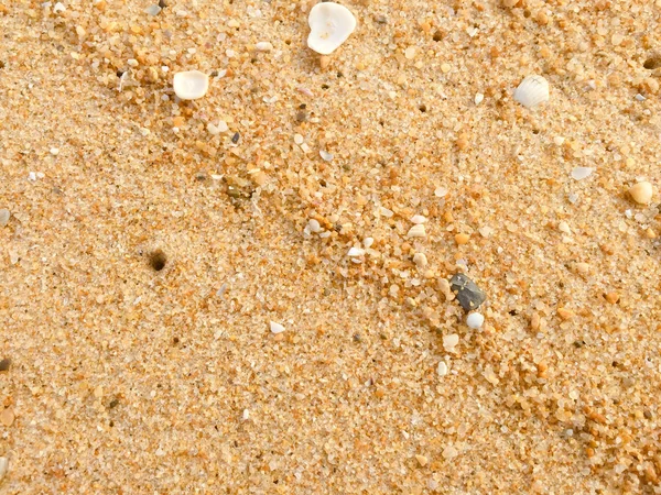 Detailní Abstraktní Přírodní Písčité Pláže Pobřeží Pozadí Povrch Místa Pro — Stock fotografie
