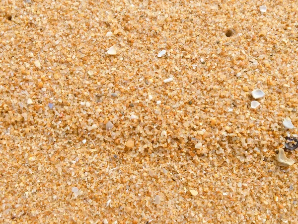 Detailní Abstraktní Přírodní Písčité Pláže Pobřeží Pozadí Povrch Místa Pro — Stock fotografie