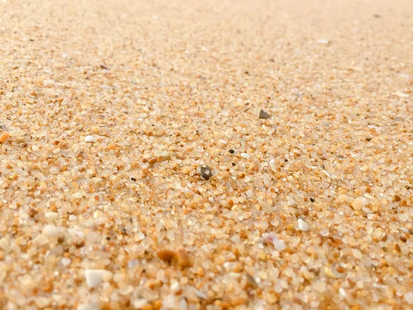 Superfície Arenosa Natural Oceano Mar Praia Pano Fundo Vista Superior — Fotografia de Stock