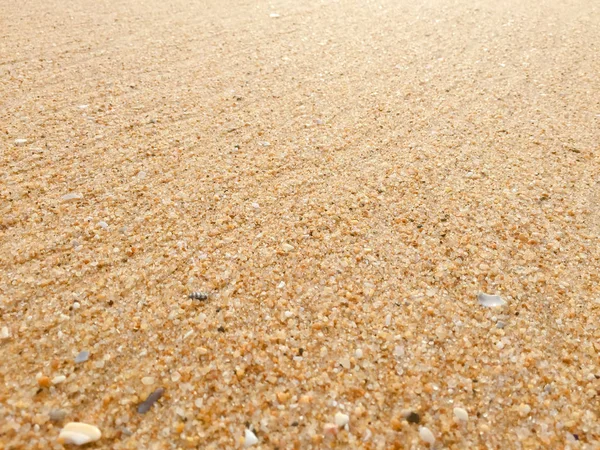 Streszczenie naturalnej piaszczystej plaży zbliżenie, seacoast tła. Miejsca na powierzchni tekstu — Zdjęcie stockowe