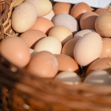 Arka plan, closeup yumurtalar sepette grubundaki Pazar