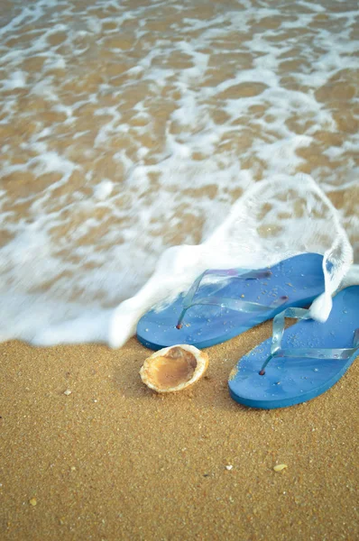 Flip Flops Albastru Coajă Ocean Lungul Plajei Exotice Tropicale Privire — Fotografie, imagine de stoc