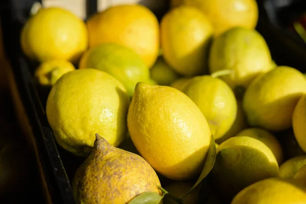 Πολύχρωμο λεμόνια στο ιστορικό αγοράς το στάβλο — Φωτογραφία Αρχείου