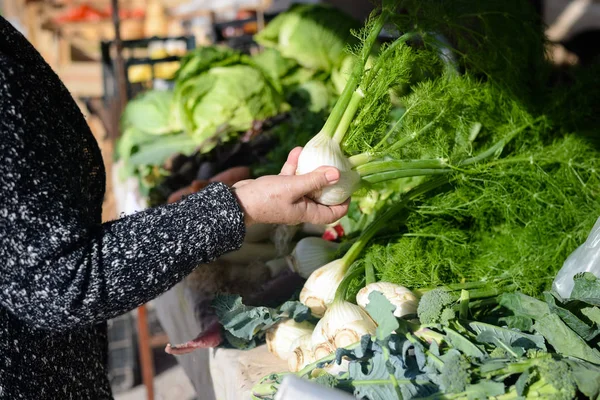 フェンネル サラダ用にレタス 緑の背景を選択する女性の手 — ストック写真