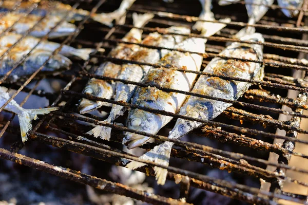 Vista superior sobre grelhar peixe no churrasco, fundo ao ar livre — Fotografia de Stock