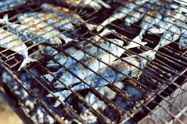 Mackerel Roast Grill Barbecue Flat Lay Top View Closeup — Stock Photo, Image