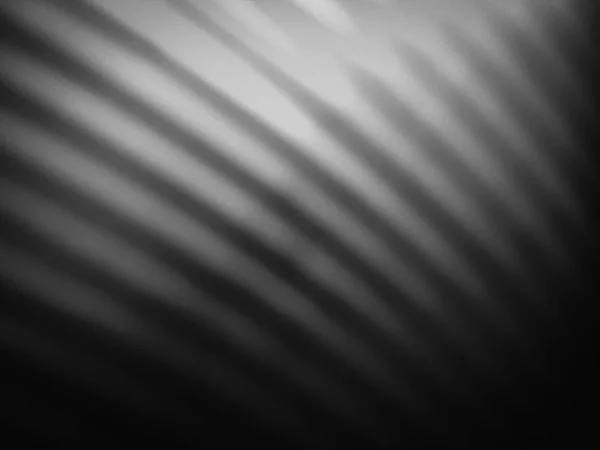 Blanco Negro Brillante Luz Ondulada Fondo Abstracción Borrosa — Foto de Stock