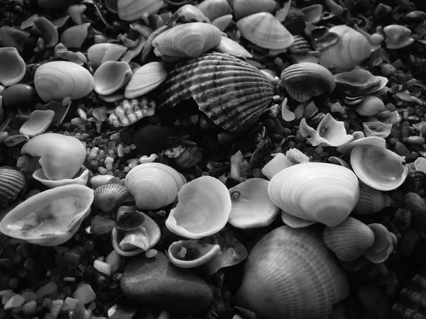 Черный Абстрактный Природный Песчаный Пляж Крупным Планом Вулканический Морской Фон — стоковое фото