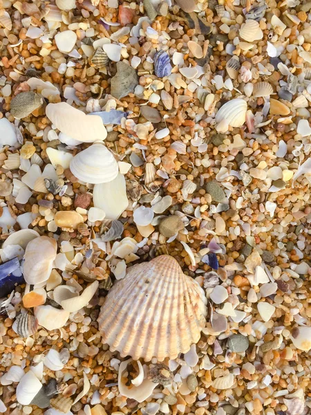 Soyut doğal kum plaj portre, sahil arka plan. Metin için yer yüzeyi — Stok fotoğraf