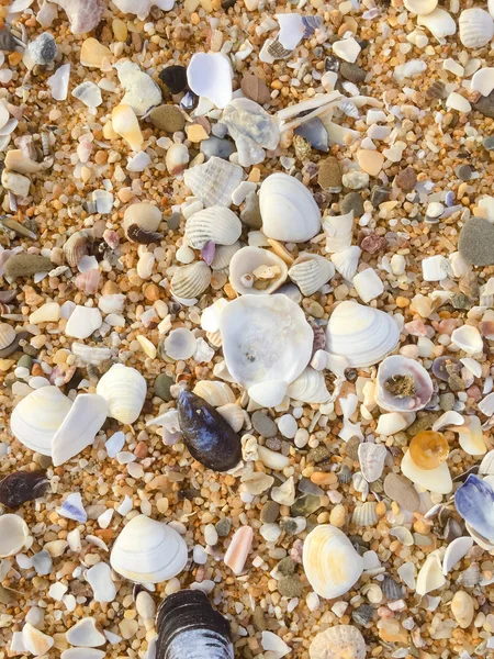 Абстрактный Природный Песчаный Пляж Прибрежный Фон Пространство Текста — стоковое фото