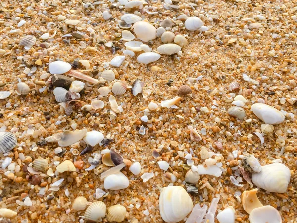 Soyut Doğal Kum Plaj Portre Sahil Arka Plan Metin Için — Stok fotoğraf