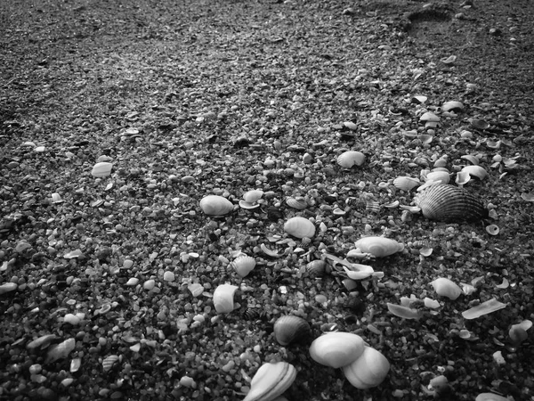 Černá abstraktní Přírodní písečná pláž detailní, sopečné pobřeží pozadí. Povrch místa pro text — Stock fotografie