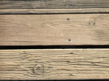 Gerçek ahşap doku soyut şablon arka plan