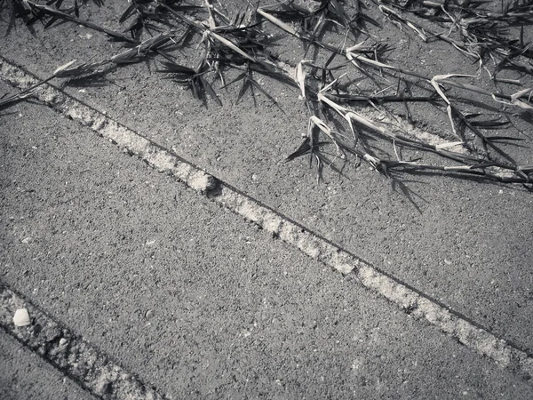 Närbild Trottoaren Marken Detalj Naturlig Grungy Strukturerad Bakgrund Ovanifrån Foto — Stockfoto