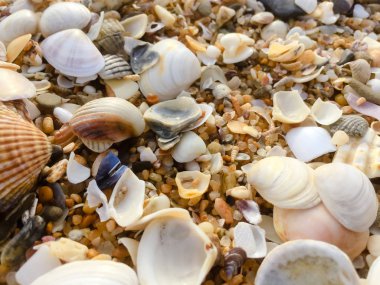 Doğal kumlu yüzey okyanus deniz plaj zemin üstten görünüm arka plan