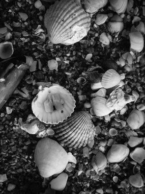 Siyah volkanik kumlu yüzey okyanus deniz plaj zemin üstten görünüm arka plan