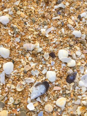 Doğal kumlu yüzey okyanus deniz plaj zemin üstten görünüm arka plan