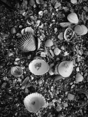 Siyah volkanik kumlu yüzey okyanus deniz plaj zemin üstten görünüm arka plan