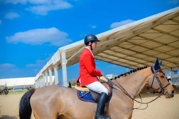 Vilamoura Atlantische Tour Februari 2017 Ruiters Hun Paarden Competitie Hippisch — Stockfoto