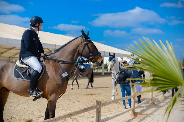 Vilamoura Atlantische Tour, 26 februari 2017: Ruiters en hun paarden in de competitie, Hippisch Centrum in Portugal. Openlucht achtergrond — Stockfoto