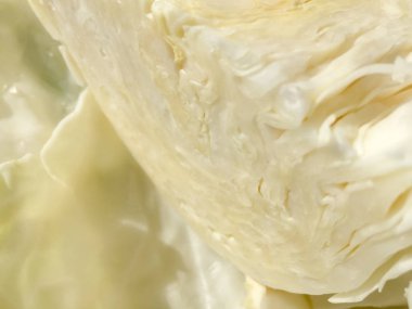 Makroyu kapatın beyaz doğal lahana, soyut doku arka plan resmi fotoğrafı