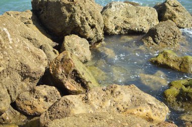 Kayalarla okyanusun güneşli panoramik manzarası, deniz manzarası doğal arka plan.