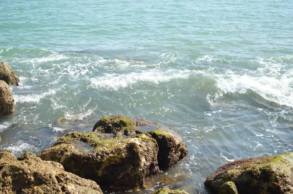 Sunny Panoramic View Ocean Rocks Seascape Natural Outdoors Background — Stock Photo, Image