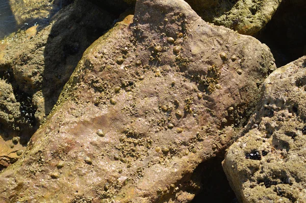 Solig Panoramautsikt Över Havet Med Stenar Havsutsikt Naturliga Utomhus Bakgrund — Stockfoto