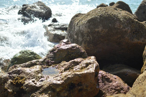 Kayalarla Okyanusun Güneşli Panoramik Manzarası Deniz Manzarası Doğal Arka Plan — Stok fotoğraf