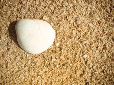 Eski kum dokulu zemin, kaba arka plan görüntüsü, detay