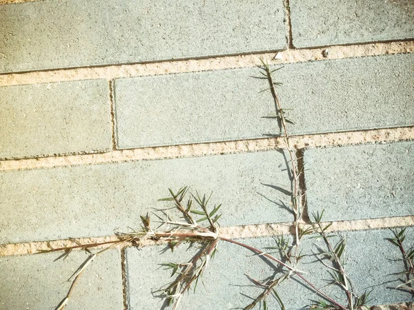 Pedra Abstrato Pavimento Andar Forma Textura Com Cópia Espaço Fundo — Fotografia de Stock