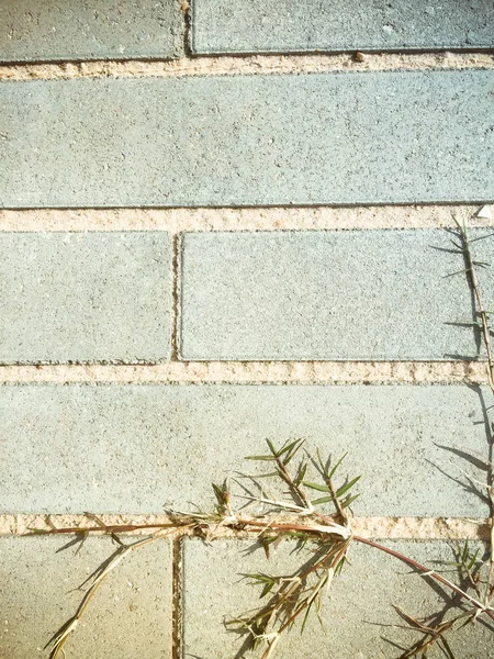 コピー領域の背景を持つ抽象石畳散歩方法テクスチャー — ストック写真