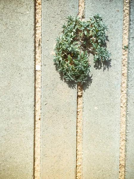 Pedra Abstrato Pavimento Andar Forma Textura Com Cópia Espaço Fundo — Fotografia de Stock