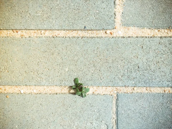 Astratto Pavimentazione Pietra Camminare Modo Texture Con Sfondo Spazio Copia — Foto Stock