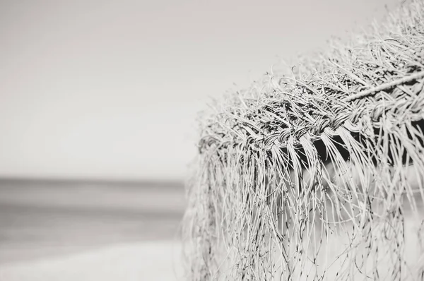 Vacanze sdraio spiaggia e ombrellone baldacchino sull'oceano all'aperto sfondo. Immagine fotografica in bianco e nero — Foto Stock