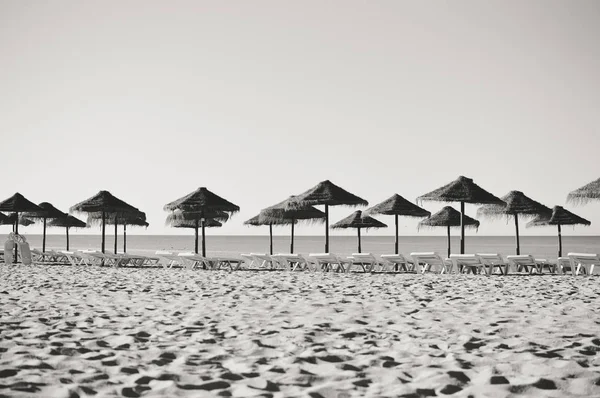 Ciel Ensoleillé Chaises Longues Avec Parasol Sur Belle Plage Portugal — Photo