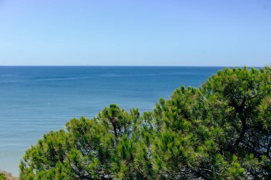 Plaj sahil şeridi, güneşli deniz manzarası Peyzaj doğal arka plan