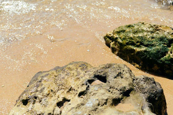 Beach-tengerpart, napos seascape táj természetes háttér — Stock Fotó