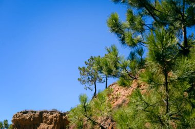 Okyanus manzarası doğal arka plan üzerinde yamaç ile huzurlu kıyı güneşli plaj. Sunny Dream tatil yeri