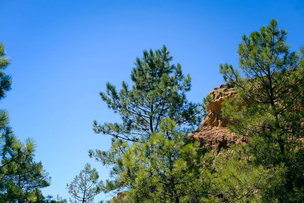 Okyanus manzarası doğal arka plan üzerinde yamaç ile huzurlu kıyı güneşli plaj. Sunny Dream tatil yeri